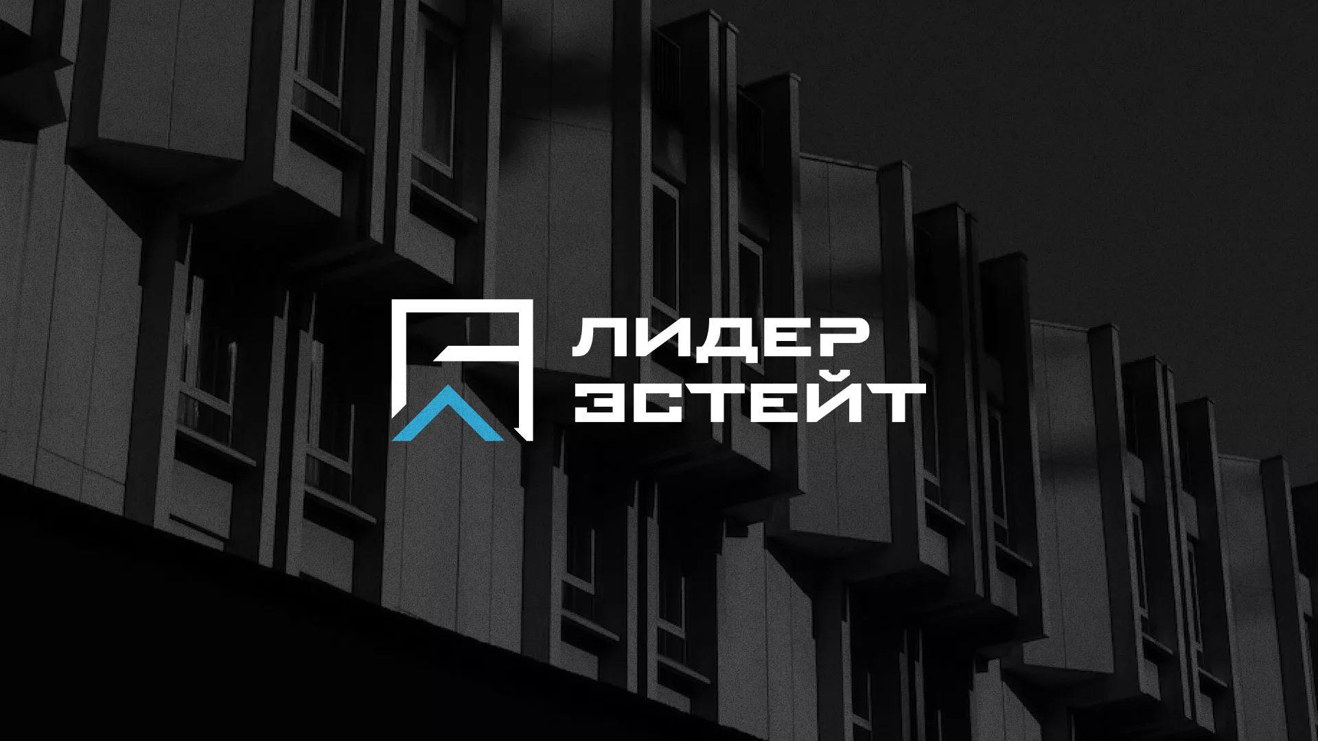 Разработка логотипа агентства недвижимости «Лидер Эстейт» в Кудымкаре